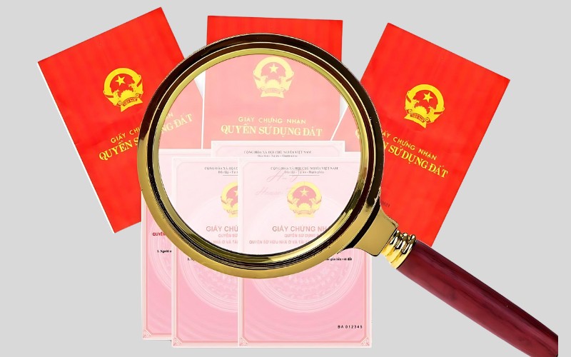 Cơ quan ban hành và thời gian cấp