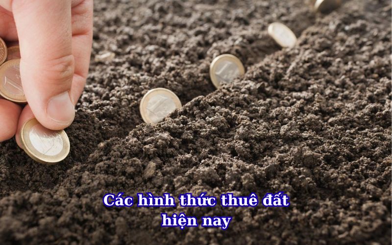 Các hình thức thuê đất hiện nay