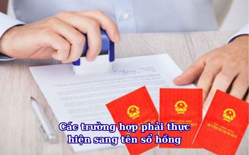 cac-truong-hop-phai-thuc-hien-sang-ten-so-hong