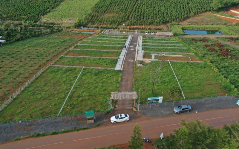 Căn cứ pháp lý về tách thửa đất nông nghiệp