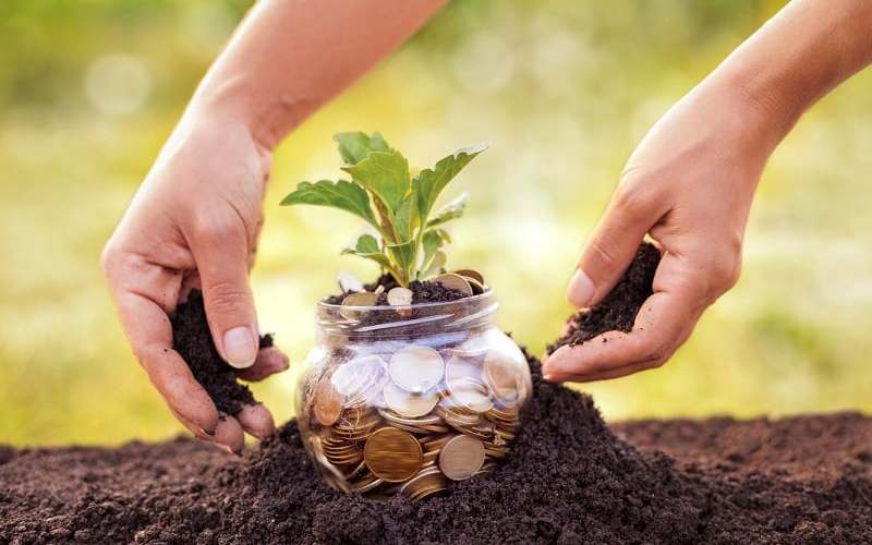 Căn cứ tính thuế sử dụng đất phi nông nghiệp