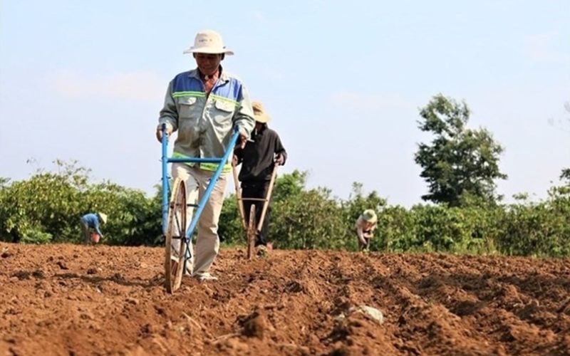 Cơ sở pháp lý của thuế sử dụng đất nông nghiệp