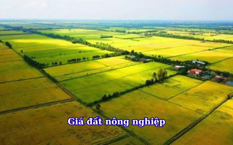 gia-dat-nong-nghiep