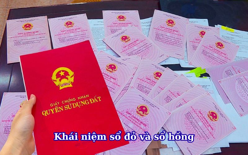 khai-niem-so-do-va-so-hong