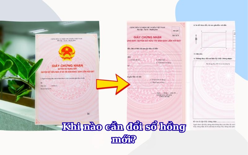 khi-nao-can-doi-so-hong-moi