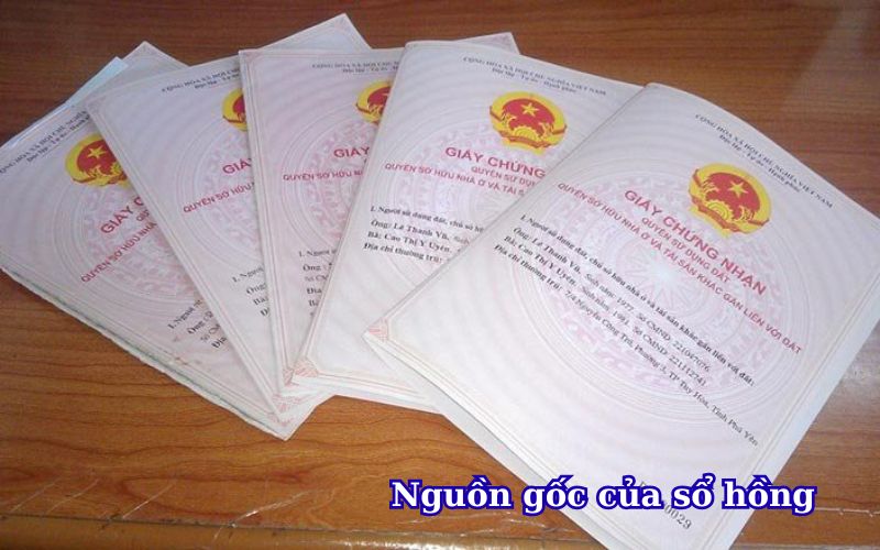 nguon-goc-cua-so-hong
