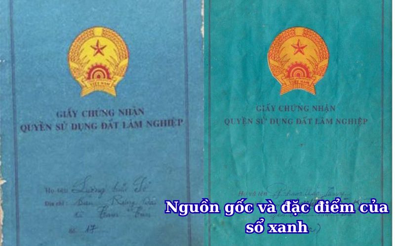 nguon-goc-va-dac-diem-cua-so-xanh