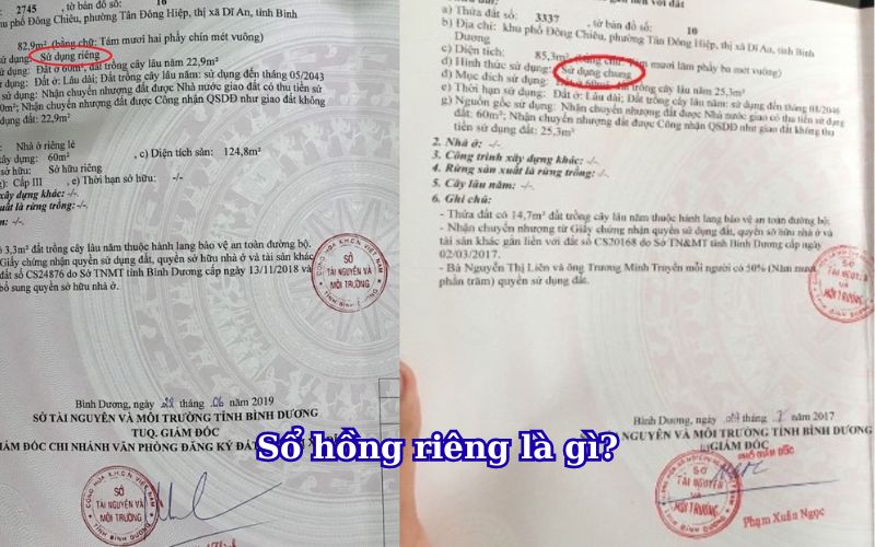 phan-biet-so-hong-rieng-va-so-hong-chung