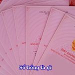Sổ hồng là gì? Giải thích chi tiết và những thông tin quan trọng cần biết
