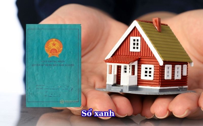 so-xanh