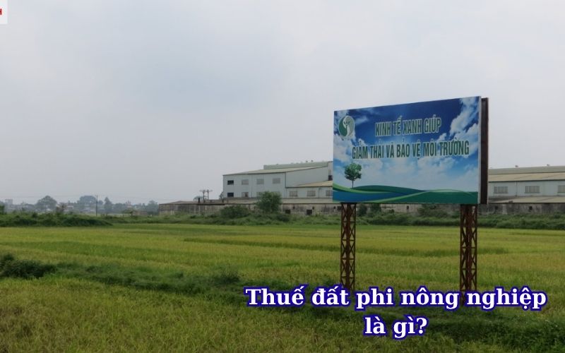 Thuế đất phi nông nghiệp là gì?