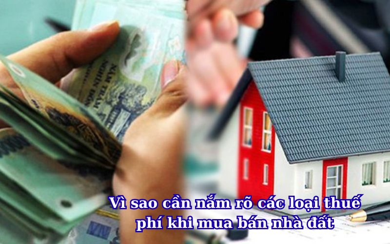 vi-sao-can-nam-ro-cac-loai-thue-phi-khi-mua-ban-nha-dat
