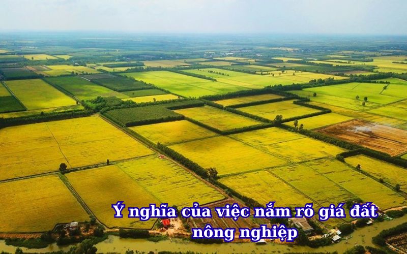 y-nghia-cua-viec-nam-ro-gia-dat-nong-nghiep