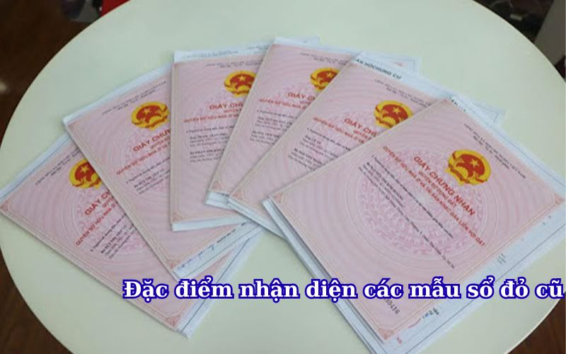 dac-diem-nhan-dien-cac-mau-so-do-cu