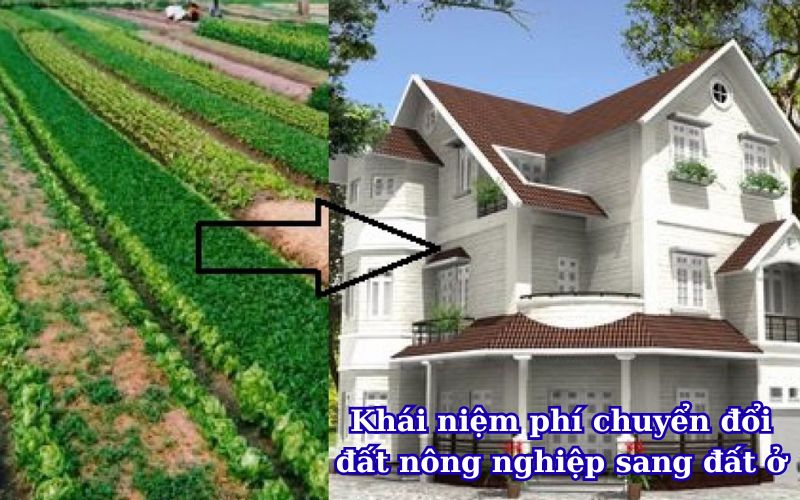 khai-niem-phi-chuyen-doi-dat-nong-nghiep-sang-dat-o