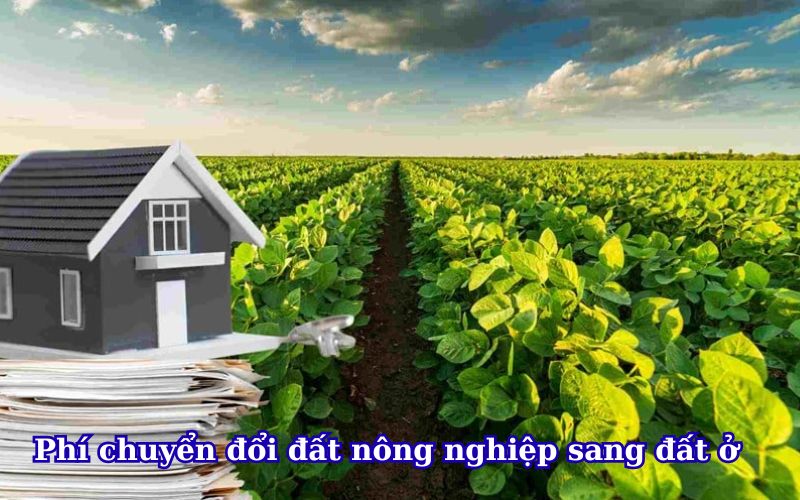 phi-chuyen-doi-dat-nong-nghiep-sang-dat-o