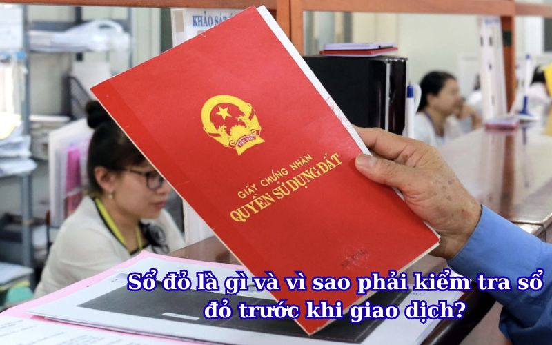 so-do-la-gi-va-vi-sao-phai-kiem-tra-so-do-truoc-khi-giao-dich