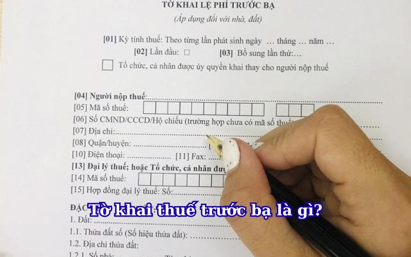 Tờ khai thuế trước bạ là gì?